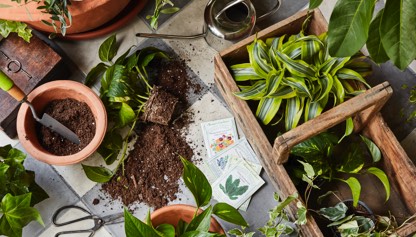 Amenities Features Item